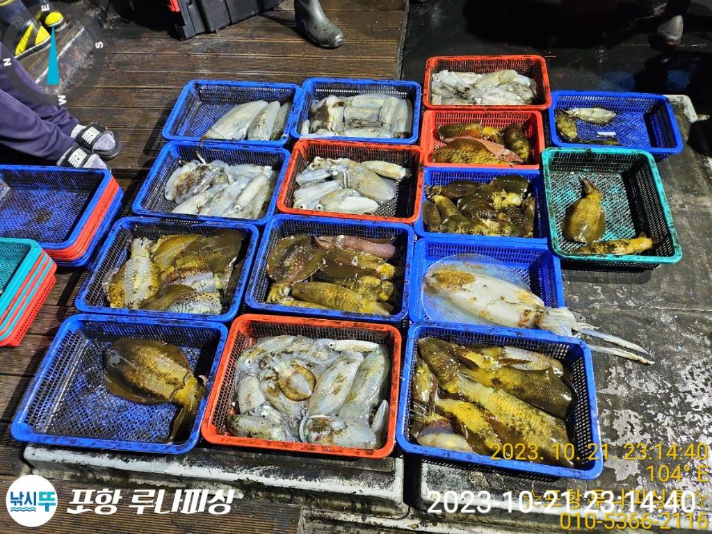 낚시뚜,무늬오징어,구룡포항,포항 루나피싱,낚시뚜8
