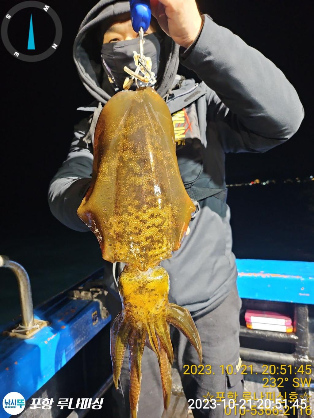 낚시뚜,무늬오징어,구룡포항,포항 루나피싱,낚시뚜5