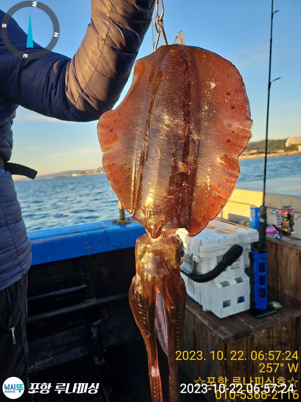 낚시뚜,무늬오징어,구룡포항,포항 루나피싱,낚시뚜0