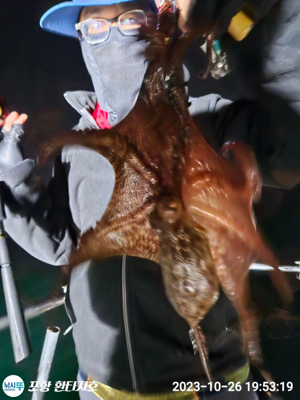 낚시뚜,돌문어,포항 동빈항,포항 환타지호,낚시뚜26