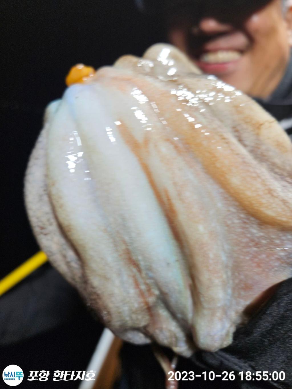 낚시뚜,돌문어,포항 동빈항,포항 환타지호,낚시뚜20