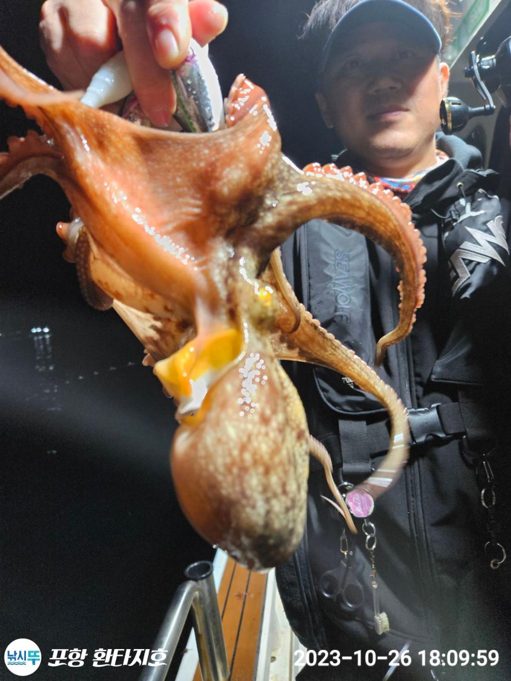 낚시뚜,돌문어,포항 동빈항,포항 환타지호,낚시뚜14