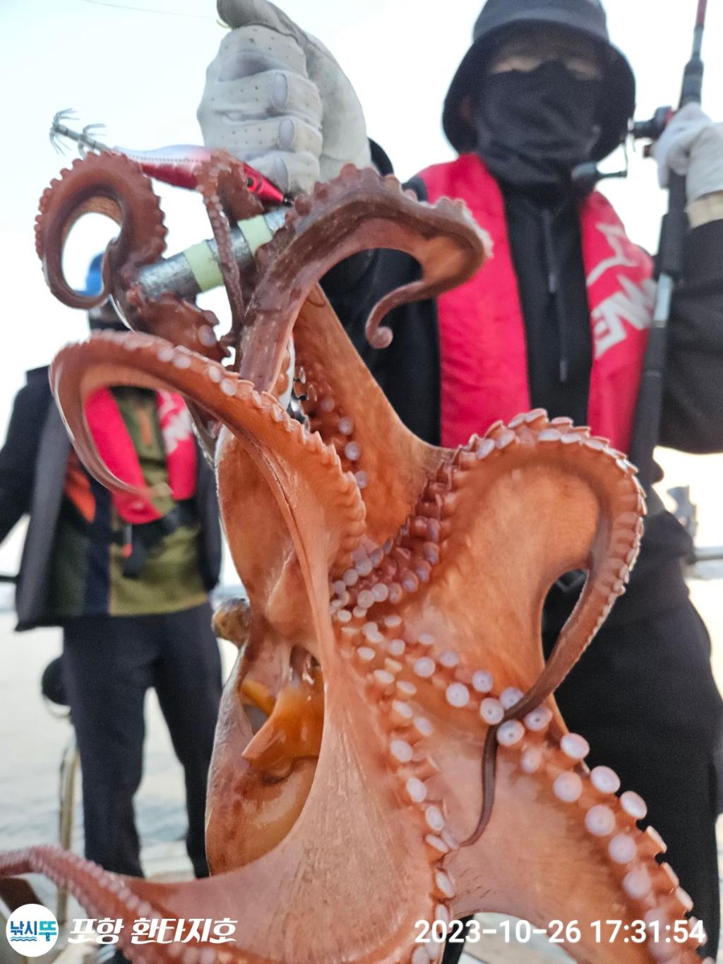 낚시뚜,돌문어,포항 동빈항,포항 환타지호,낚시뚜10