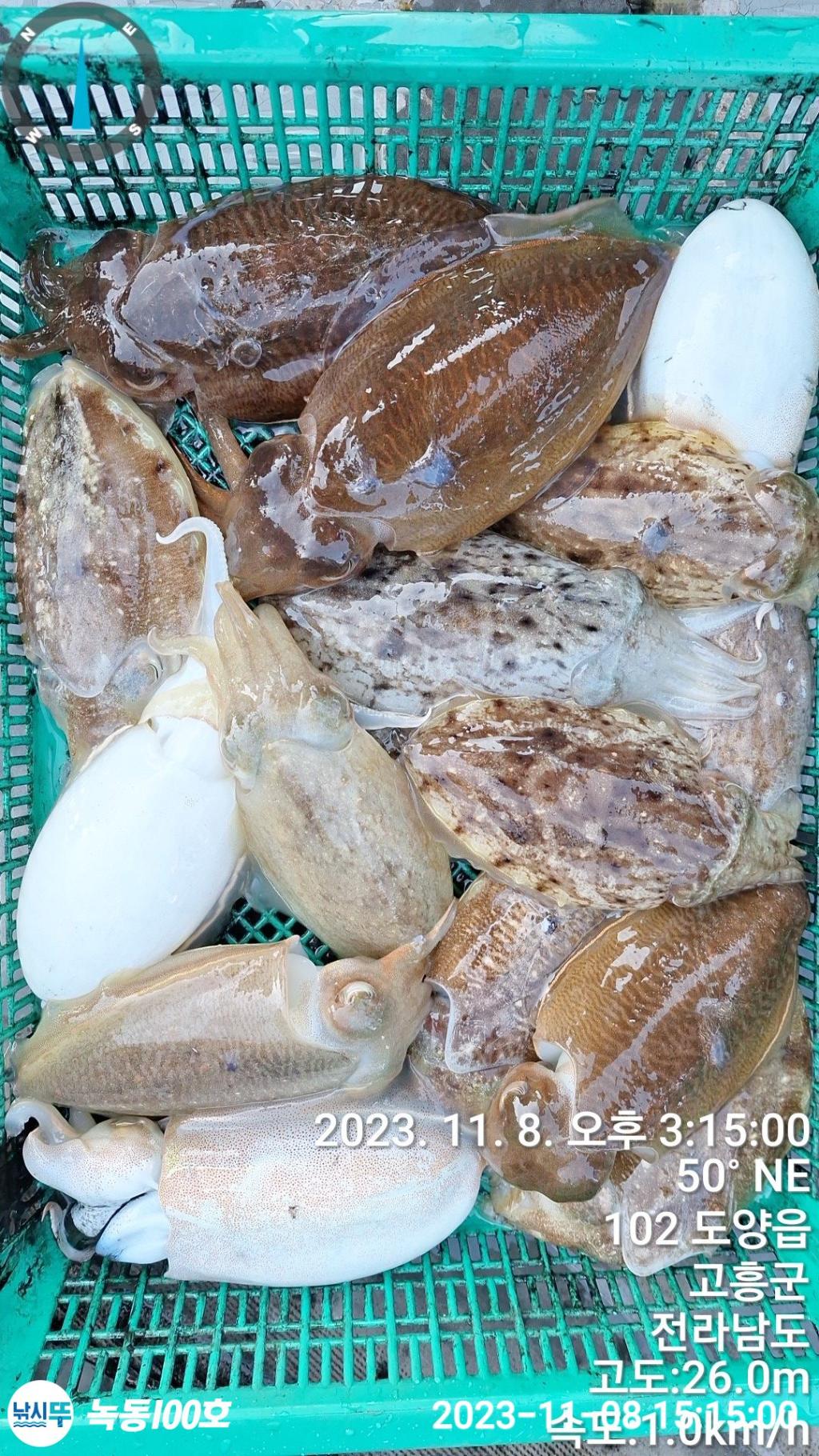 F22592819D.jpg