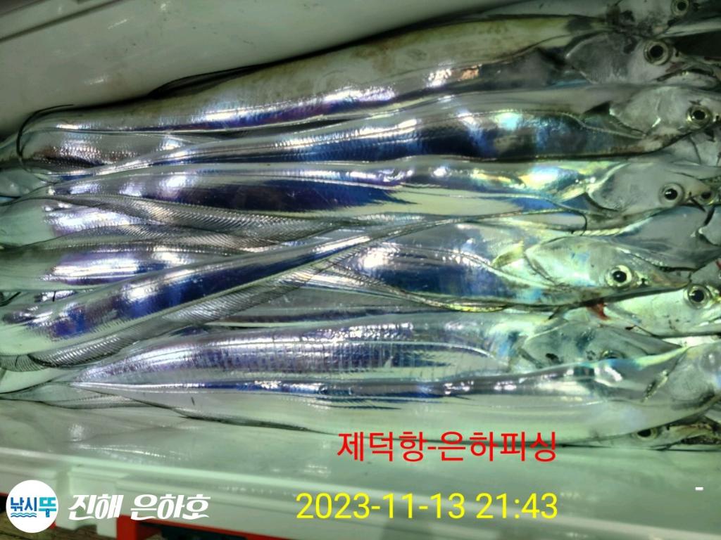 F2262861MS.jpg