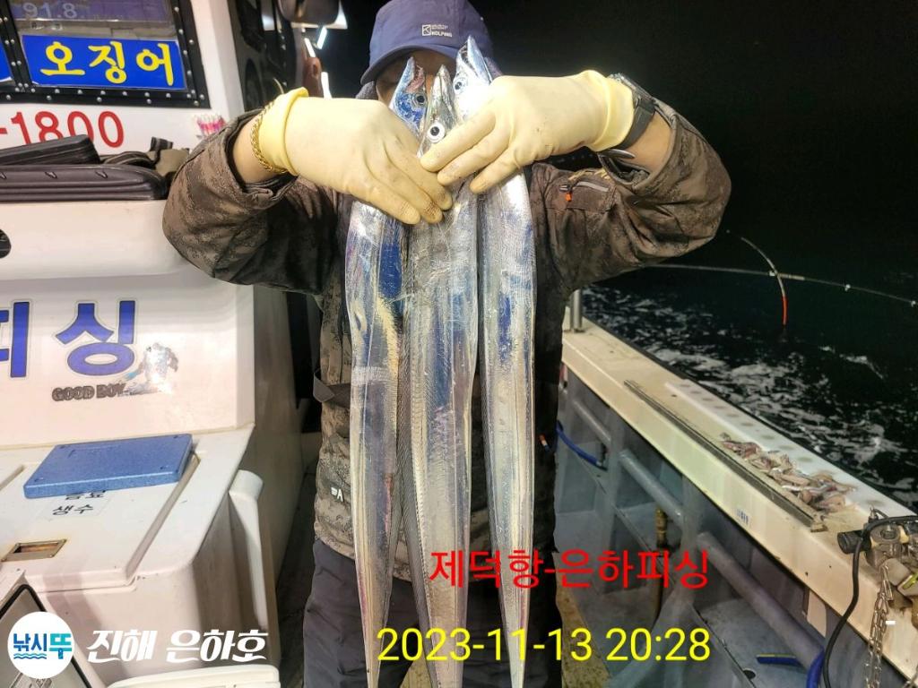 F2262865MN.jpg