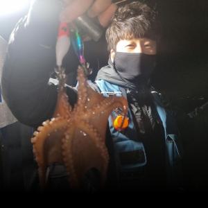 조황, 주말 원도권 돌문어 예약중