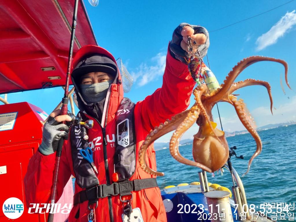 낚시뚜,돌문어,속천항(진해),라라피싱,낚시뚜9