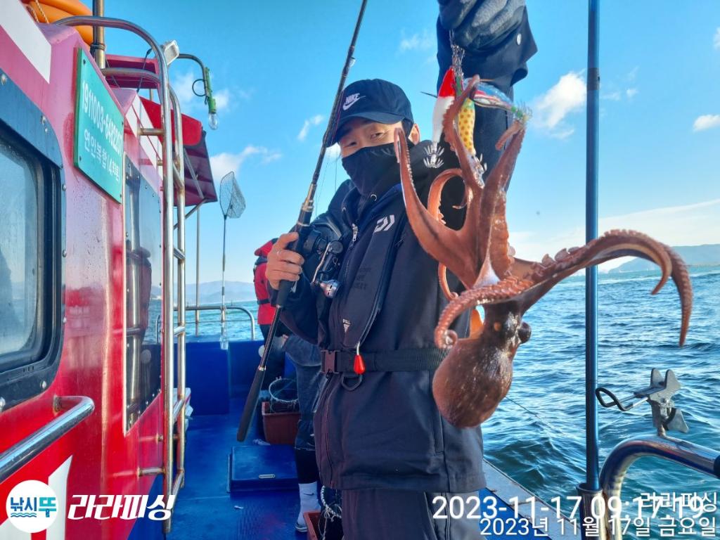 낚시뚜,돌문어,속천항(진해),라라피싱,낚시뚜4
