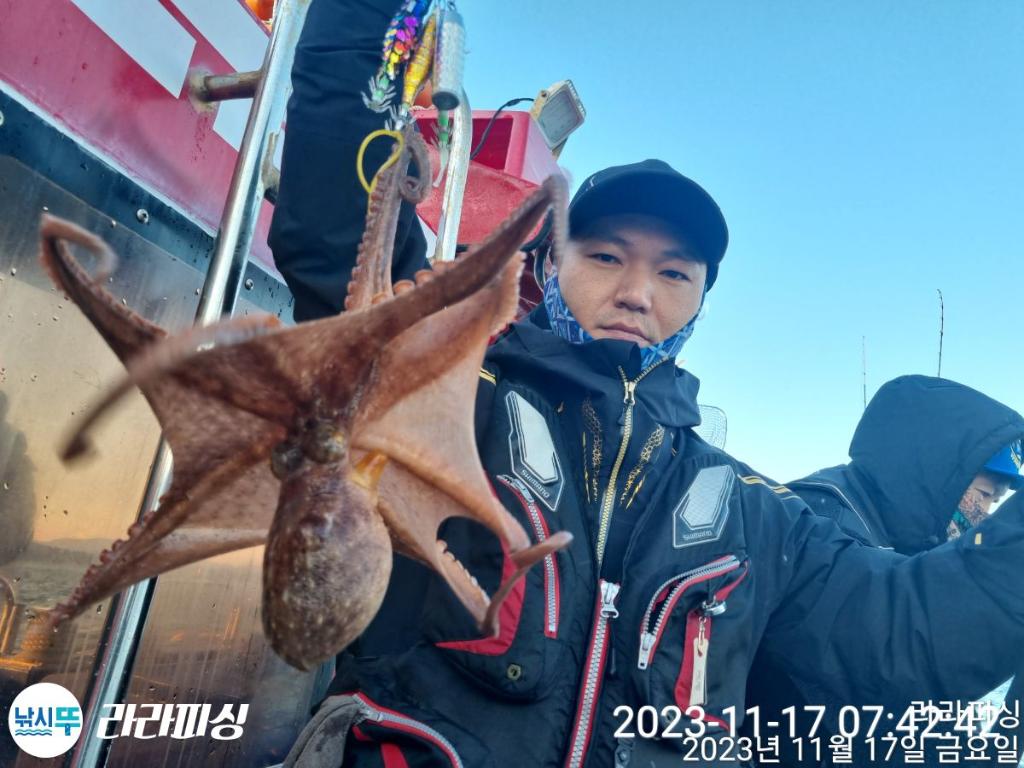 낚시뚜,돌문어,속천항(진해),라라피싱,낚시뚜2