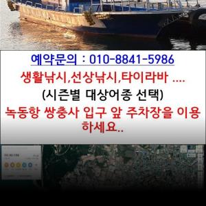 조황, 고흥녹동 장수피싱 출조정보 올려드림니다 