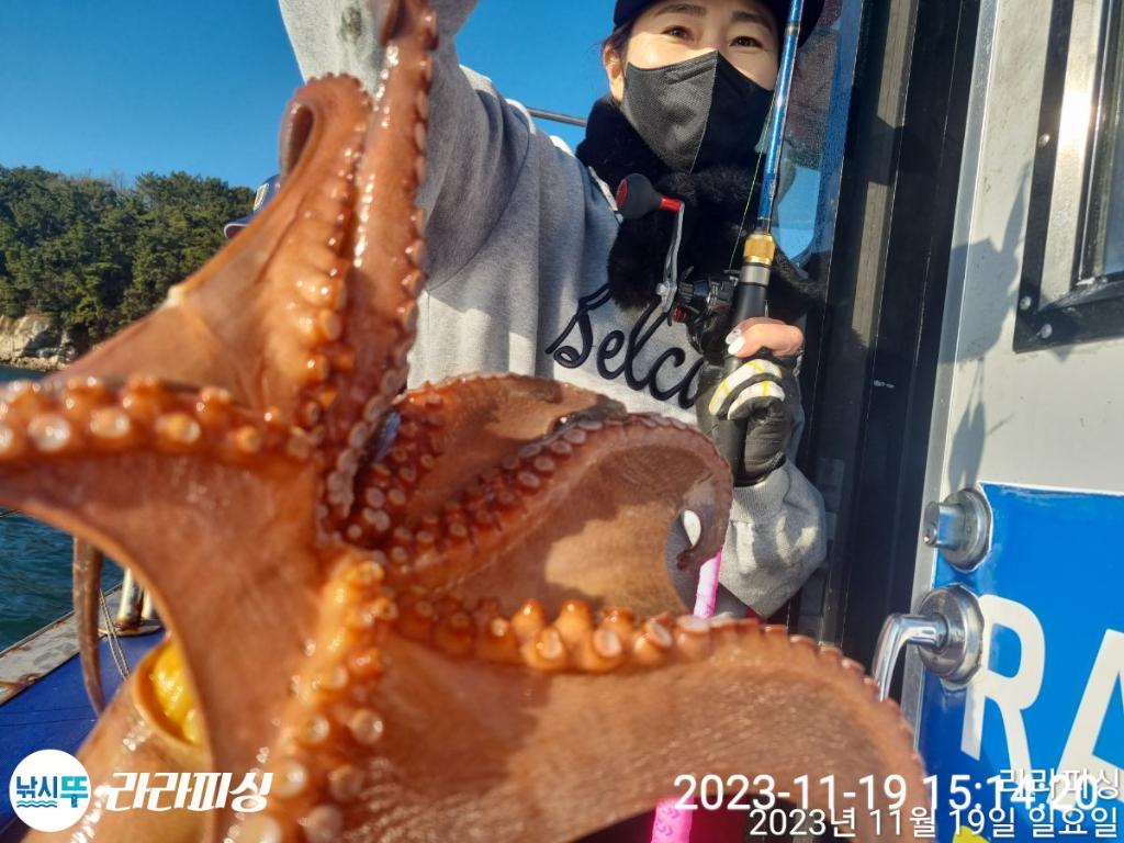 낚시뚜,돌문어,속천항(진해),라라피싱,낚시뚜0