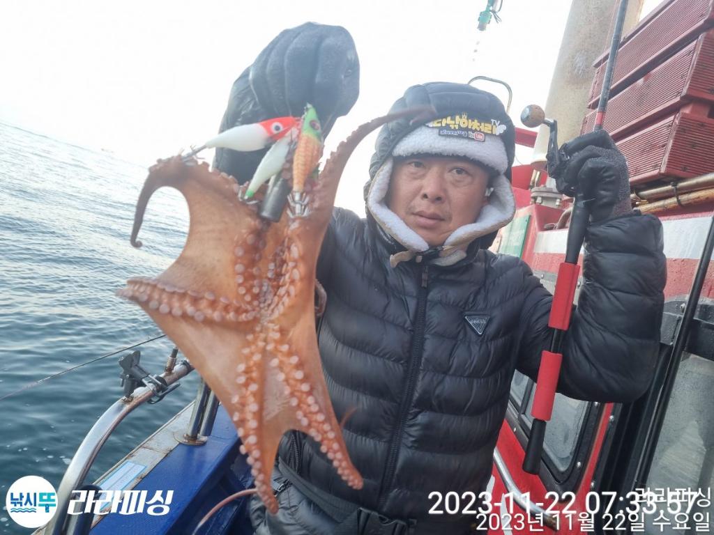 낚시뚜,돌문어,속천항(진해),라라피싱,낚시뚜8