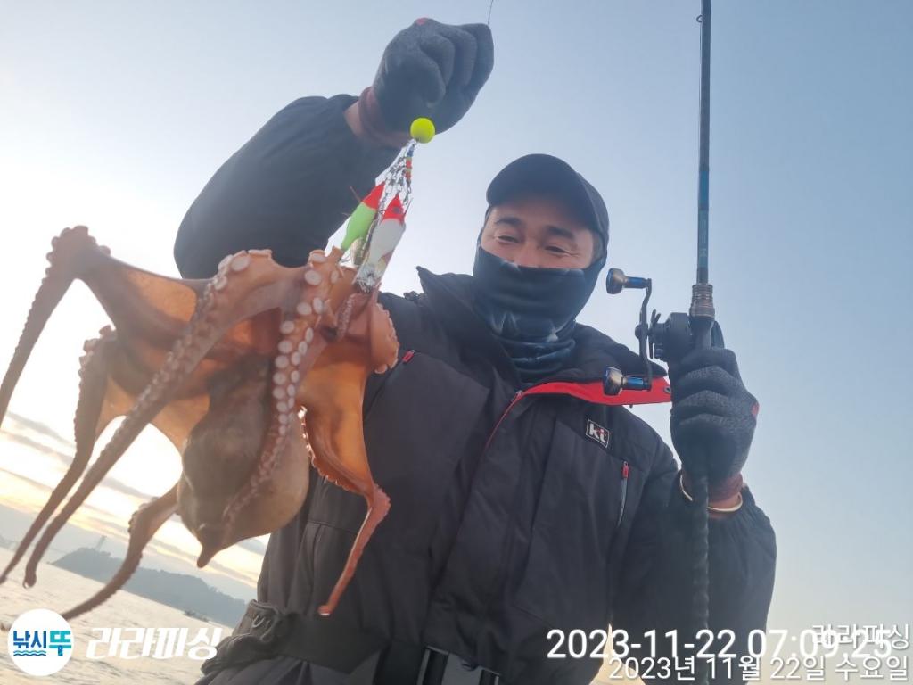 낚시뚜,돌문어,속천항(진해),라라피싱,낚시뚜7