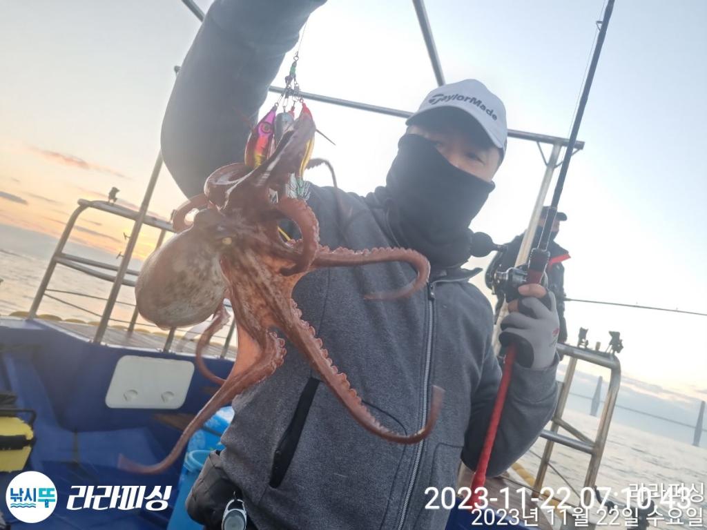 낚시뚜,돌문어,속천항(진해),라라피싱,낚시뚜5