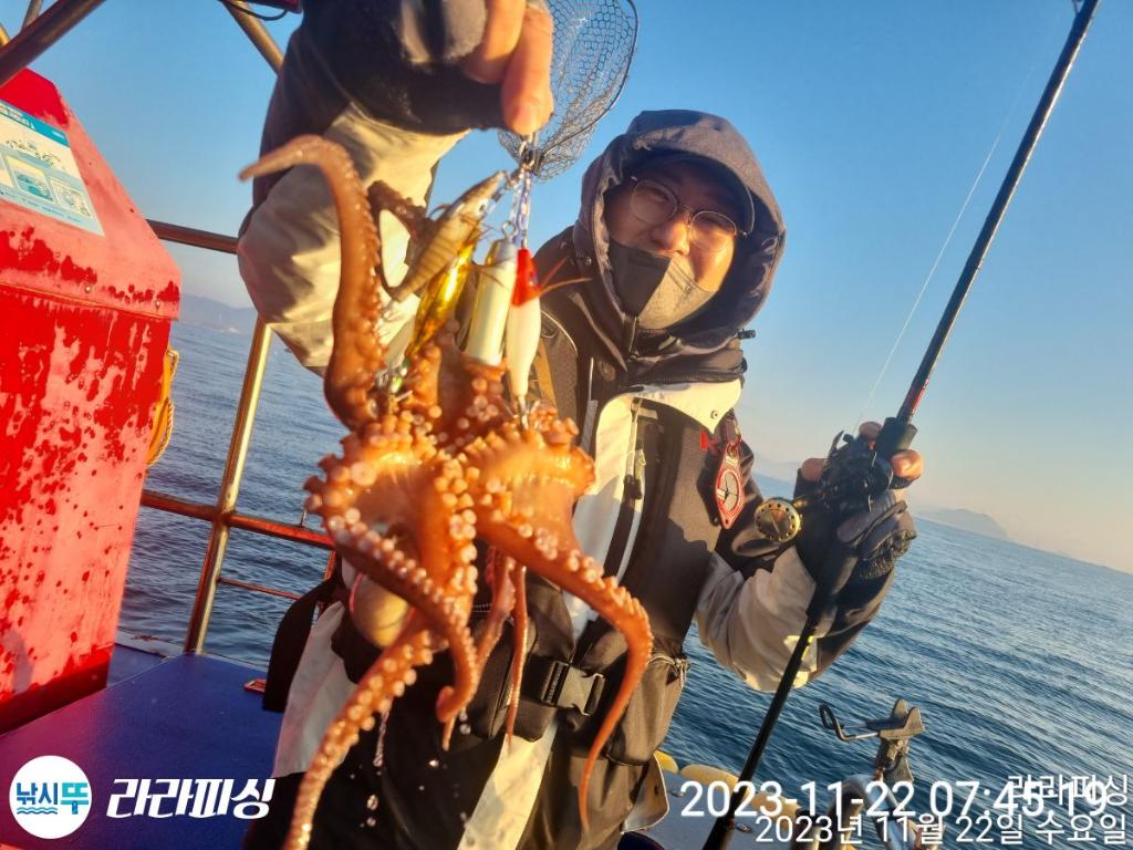 낚시뚜,돌문어,속천항(진해),라라피싱,낚시뚜4