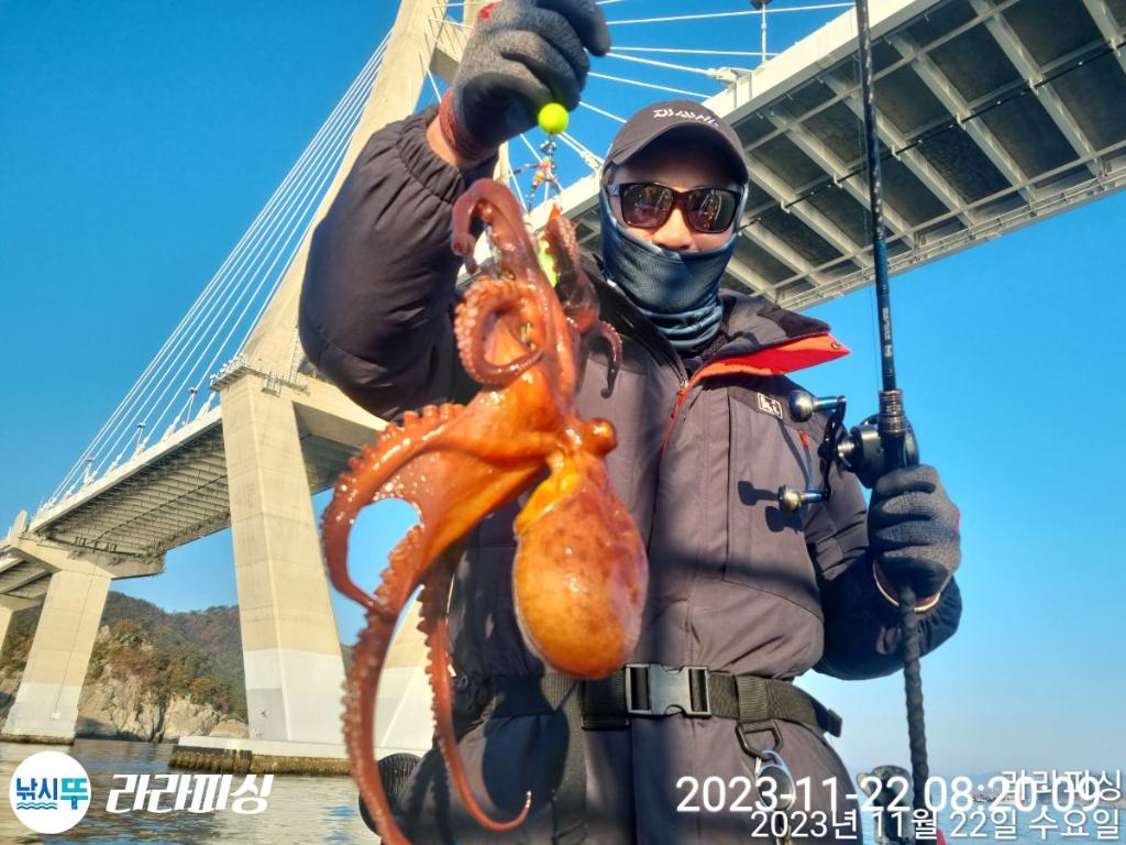낚시뚜,돌문어,속천항(진해),라라피싱,낚시뚜3