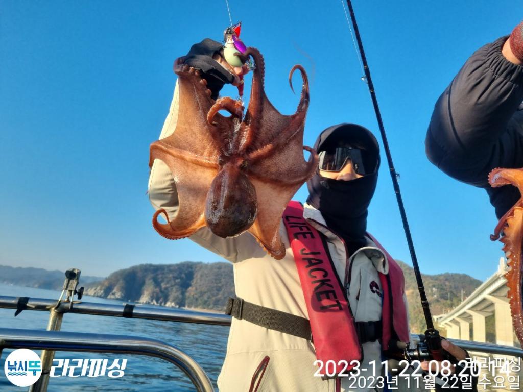 낚시뚜,돌문어,속천항(진해),라라피싱,낚시뚜2
