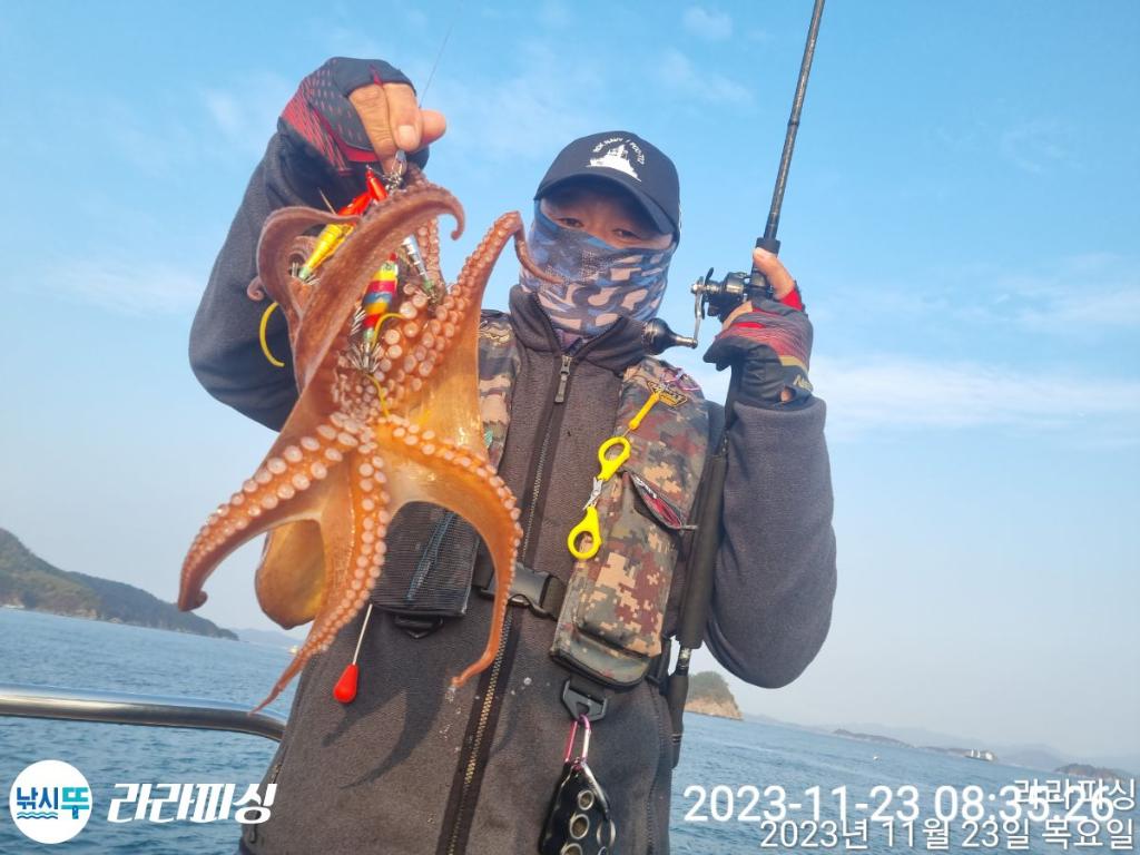낚시뚜,돌문어,속천항(진해),라라피싱,낚시뚜6