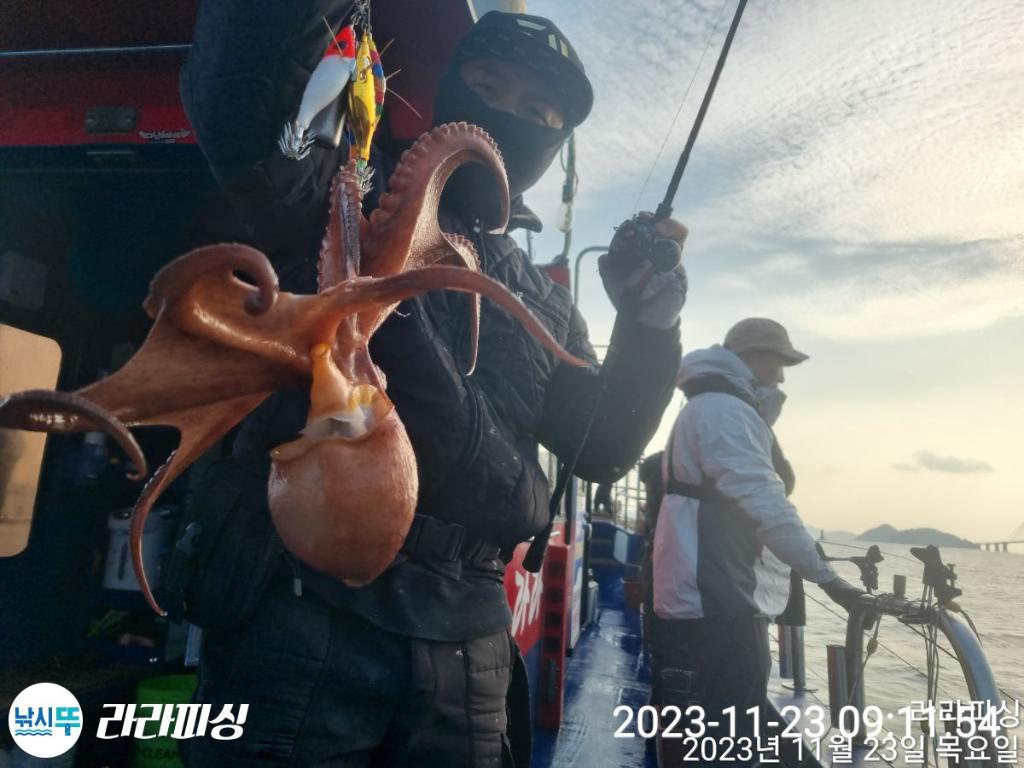 낚시뚜,돌문어,속천항(진해),라라피싱,낚시뚜3