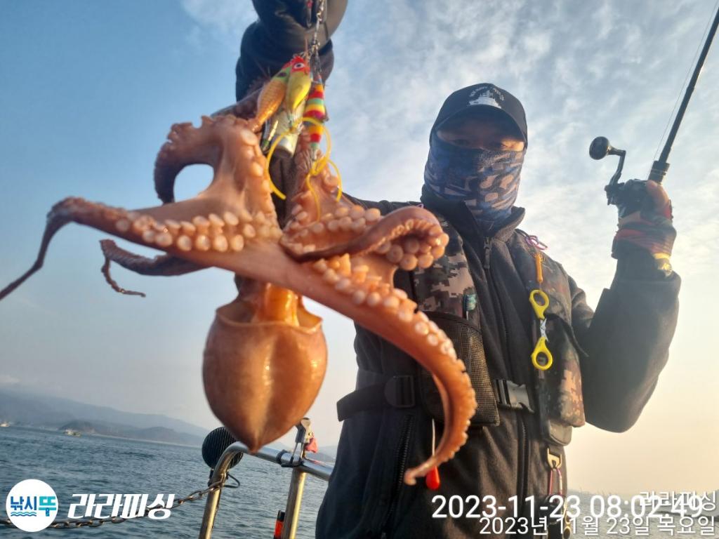 낚시뚜,돌문어,속천항(진해),라라피싱,낚시뚜0