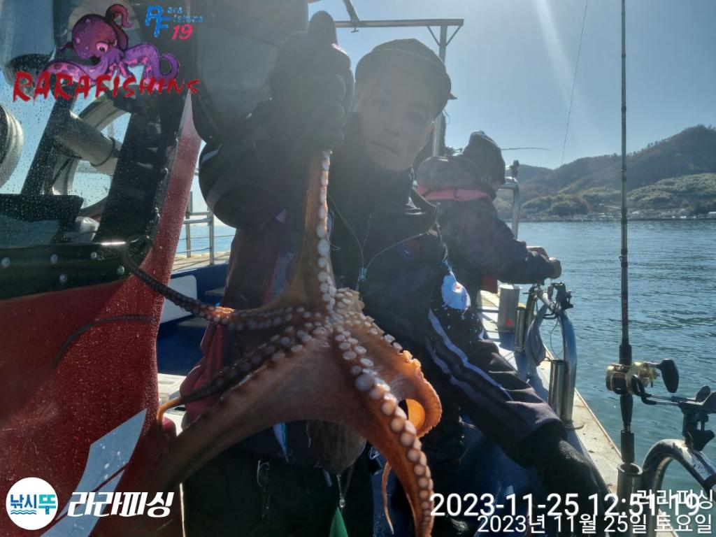 낚시뚜,돌문어,속천항(진해),라라피싱,낚시뚜11
