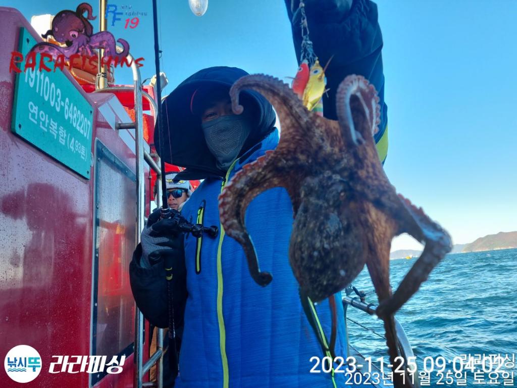 낚시뚜,돌문어,속천항(진해),라라피싱,낚시뚜8
