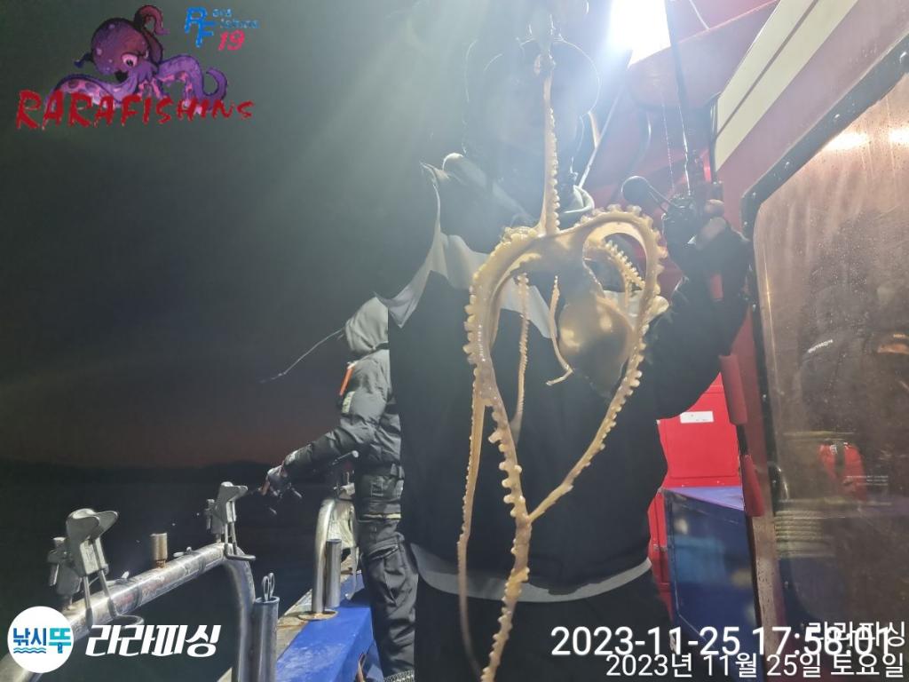낚시뚜,낙지,속천항(진해),라라피싱,낚시뚜1