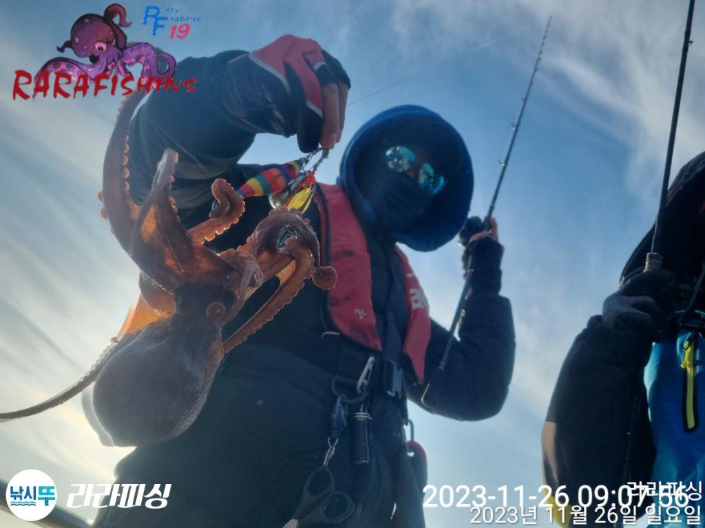 낚시뚜,돌문어,속천항(진해),라라피싱,낚시뚜3