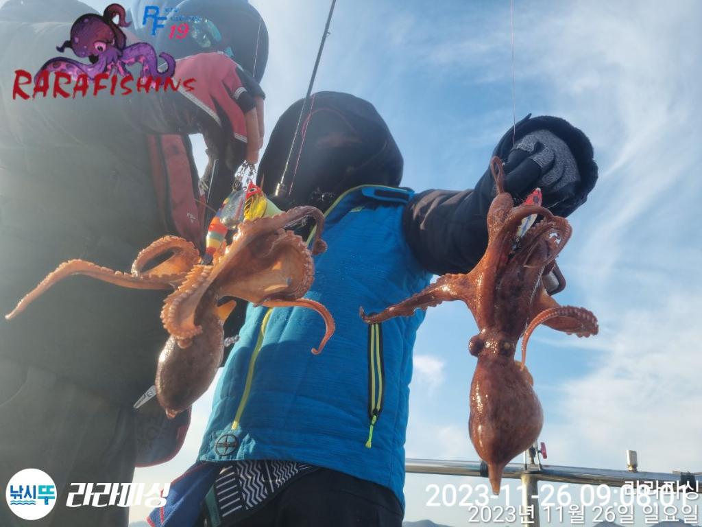 낚시뚜,돌문어,속천항(진해),라라피싱,낚시뚜1