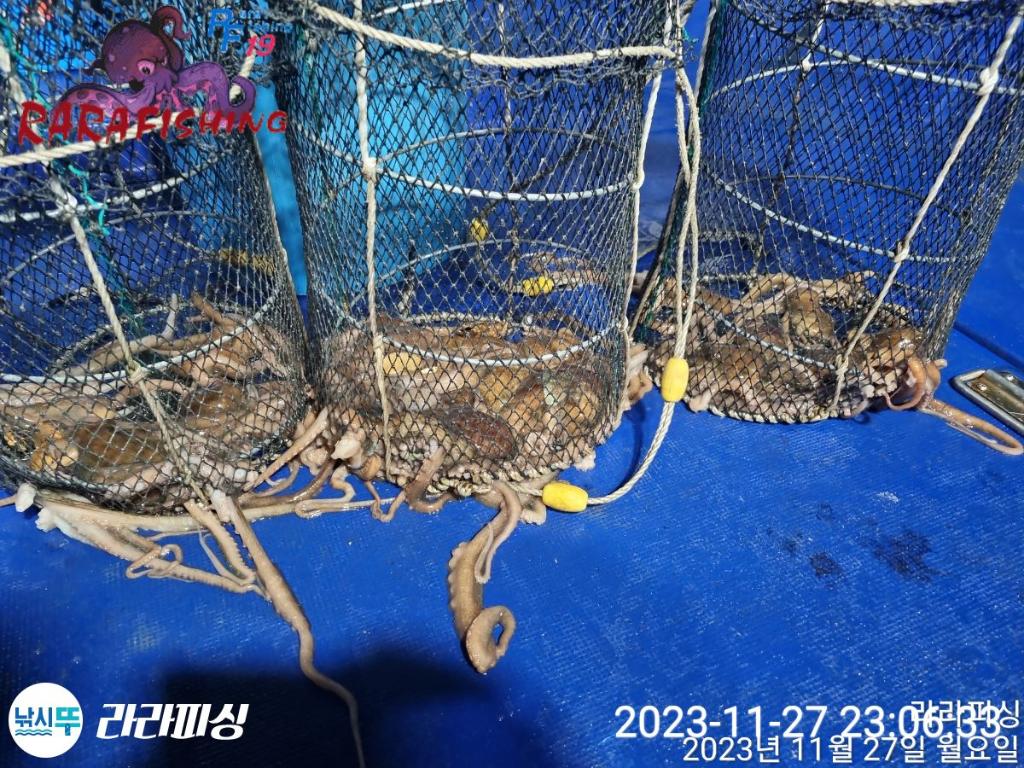 낚시뚜,문어,속천항(진해),라라피싱,낚시뚜6