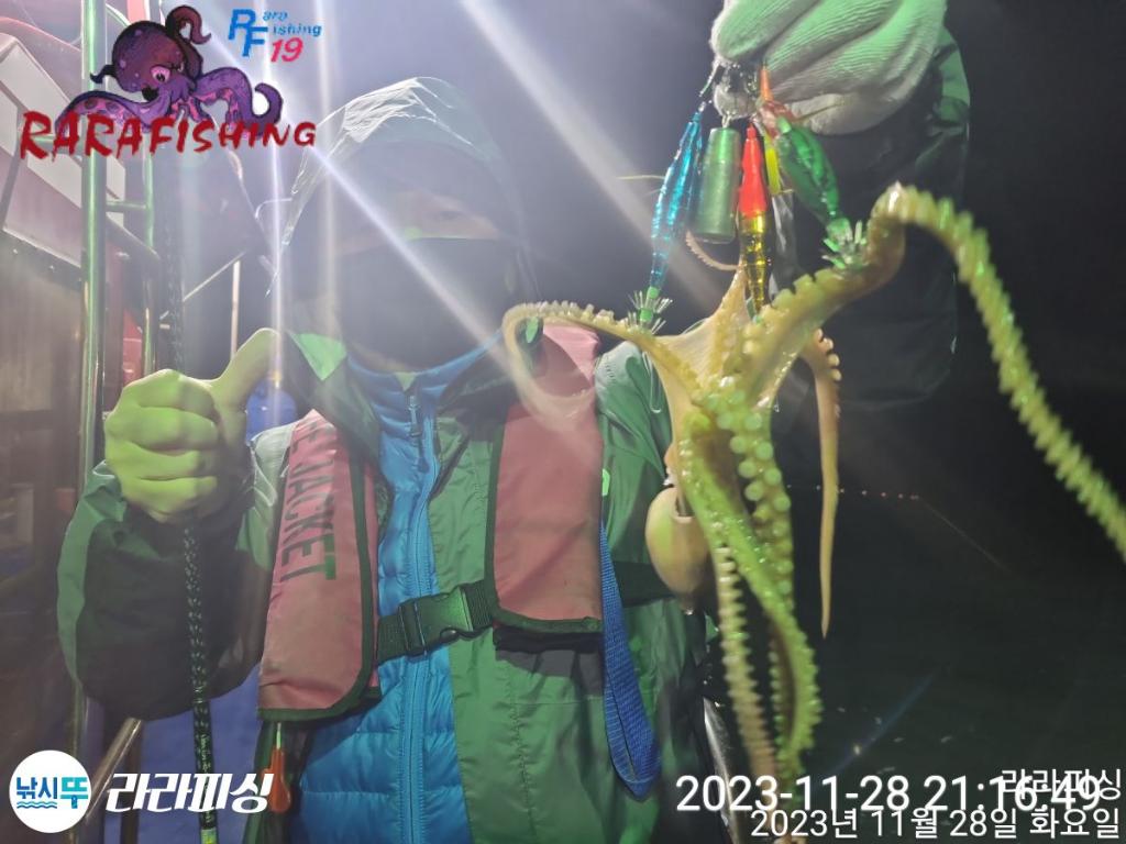 낚시뚜,낙지,속천항(진해),라라피싱,낚시뚜3