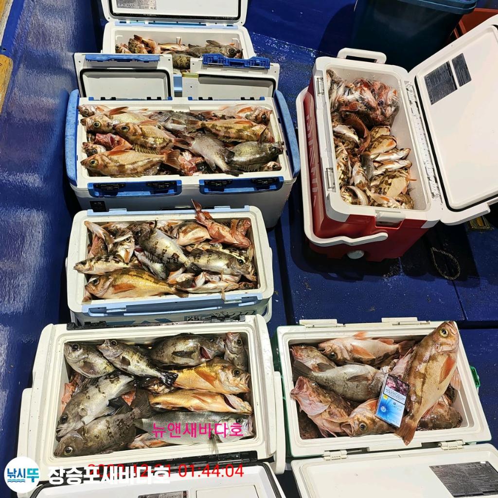 낚시뚜,볼락,열기,장승포항,장승포 새바다호,낚시뚜17
