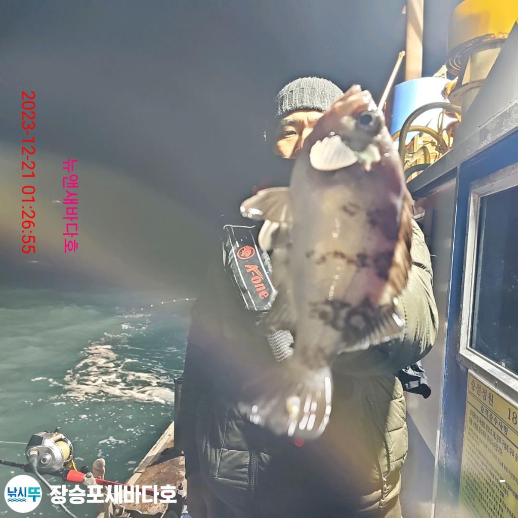 낚시뚜,볼락,열기,장승포항,장승포 새바다호,낚시뚜7
