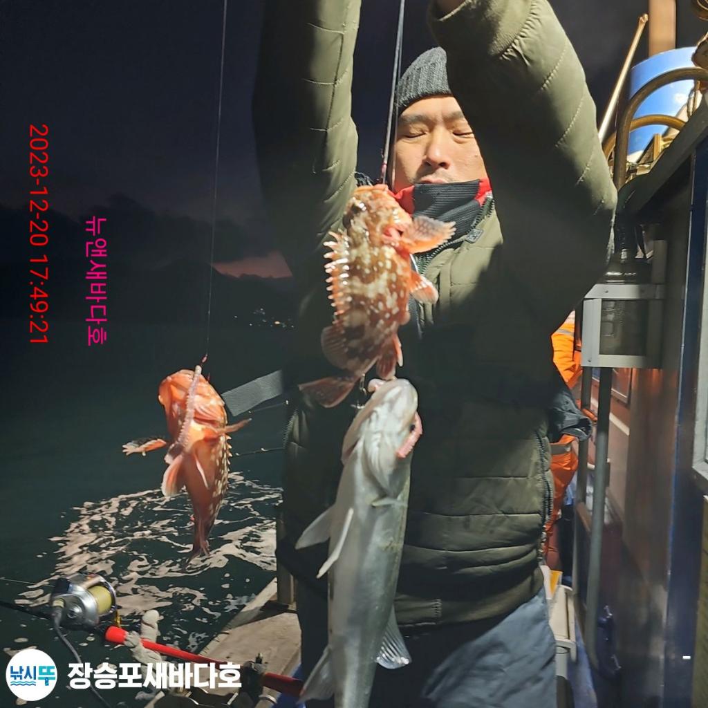 낚시뚜,볼락,열기,장승포항,장승포 새바다호,낚시뚜6