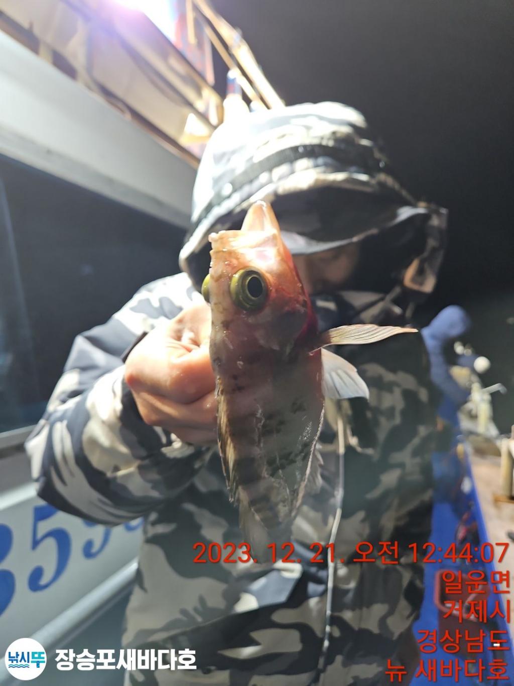 낚시뚜,볼락,열기,장승포항,장승포 새바다호,낚시뚜4
