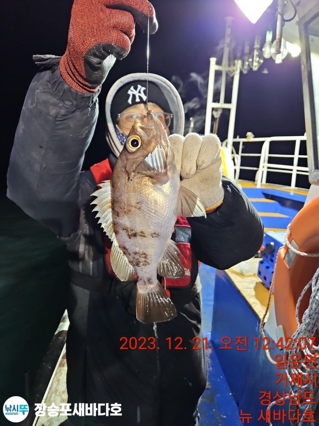 낚시뚜,볼락,열기,장승포항,장승포 새바다호,낚시뚜1