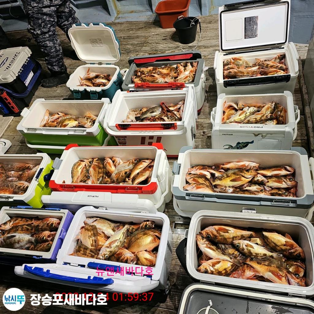 낚시뚜,열기,장승포항,장승포 새바다호,낚시뚜29