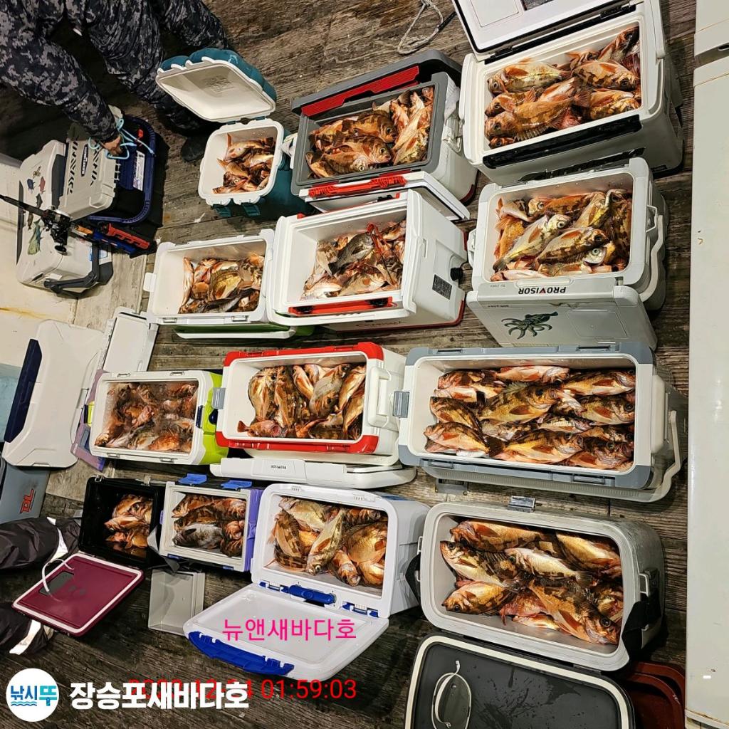 낚시뚜,열기,장승포항,장승포 새바다호,낚시뚜28