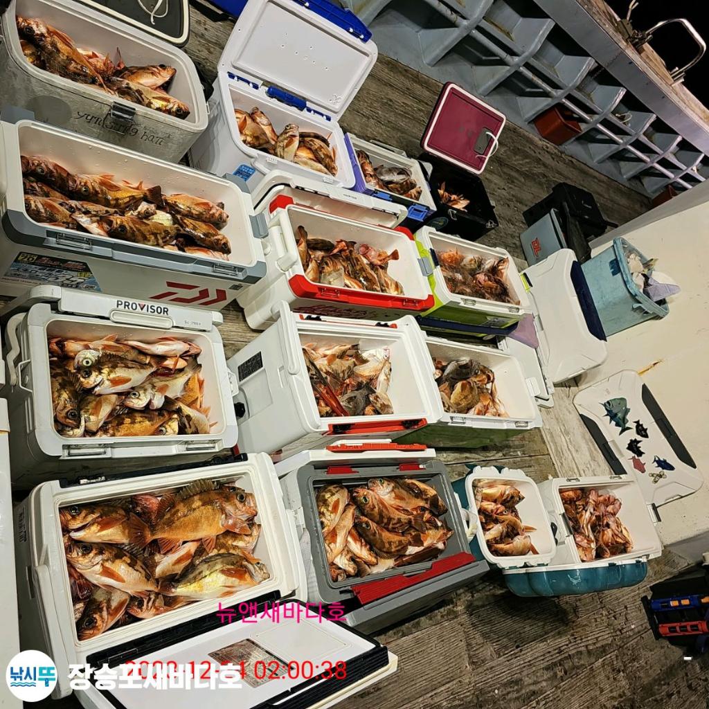 낚시뚜,열기,장승포항,장승포 새바다호,낚시뚜27