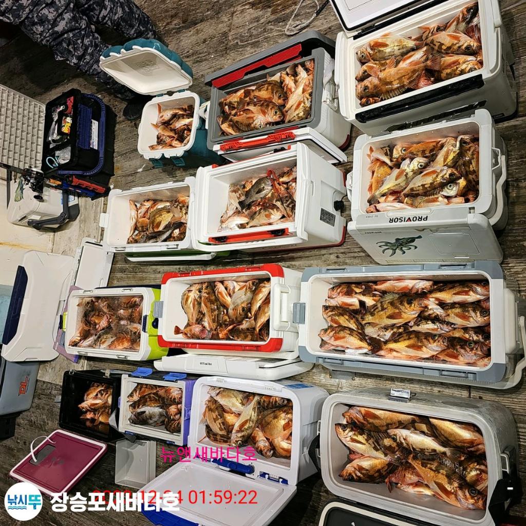 낚시뚜,열기,장승포항,장승포 새바다호,낚시뚜26