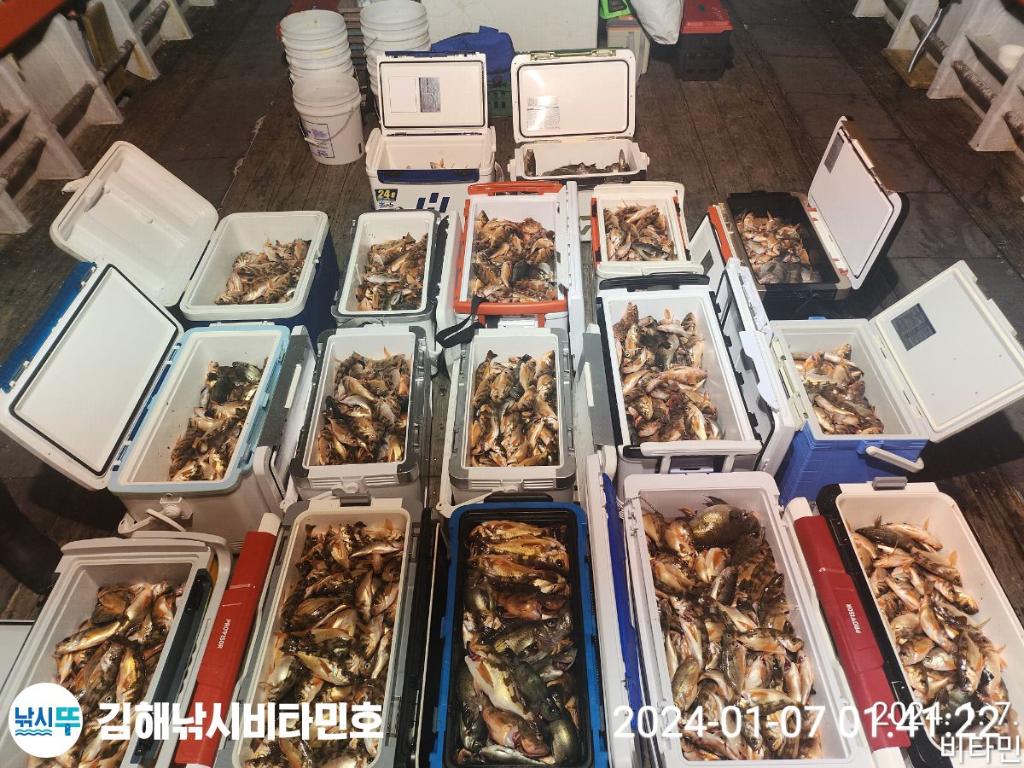 낚시뚜,볼락,열기,진해 안골항,김해낚시 비타민호,낚시뚜26