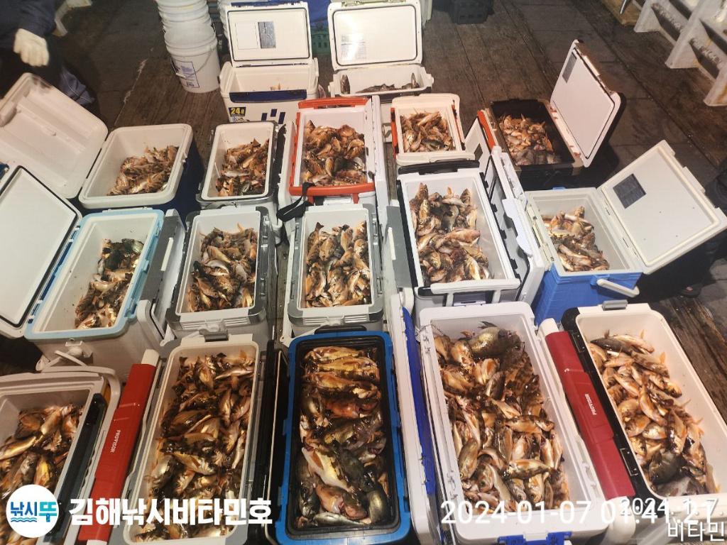 낚시뚜,볼락,열기,진해 안골항,김해낚시 비타민호,낚시뚜25