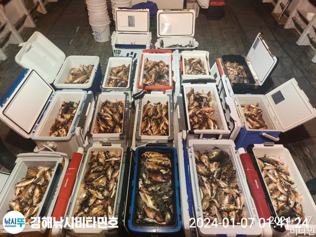 낚시뚜,볼락,열기,진해 안골항,김해낚시 비타민호,낚시뚜24