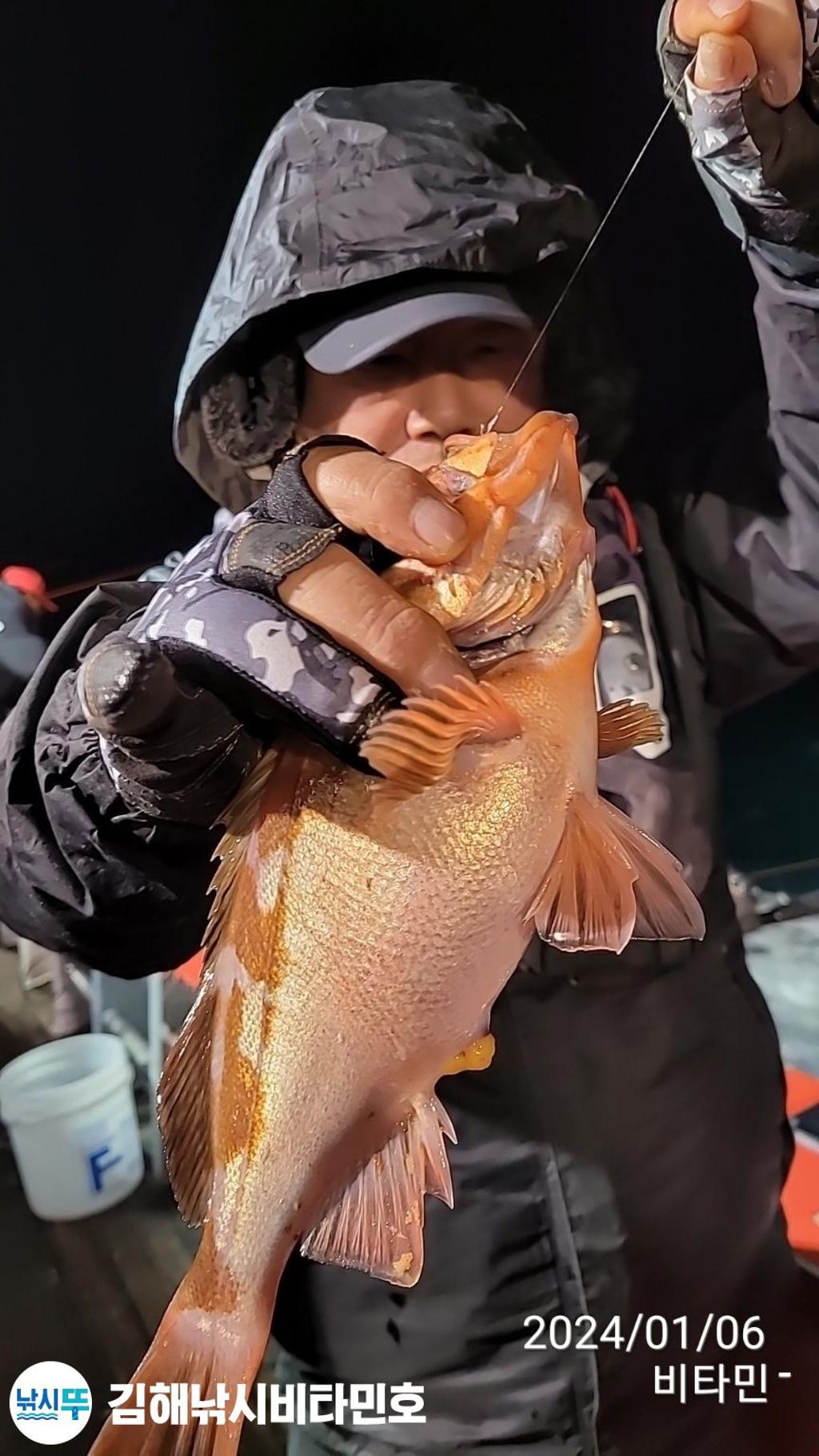 낚시뚜,볼락,열기,진해 안골항,김해낚시 비타민호,낚시뚜15