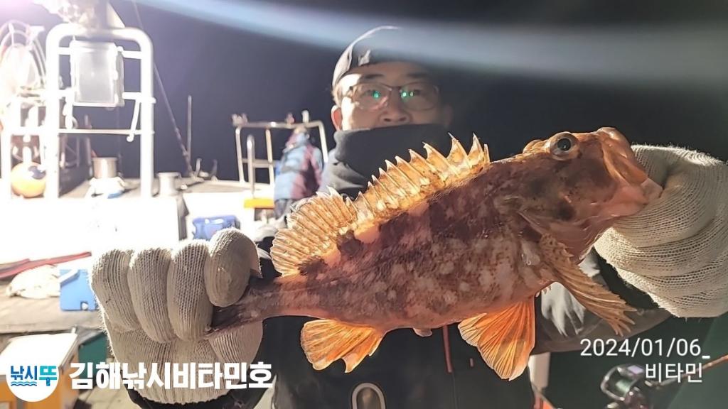 낚시뚜,볼락,열기,진해 안골항,김해낚시 비타민호,낚시뚜14