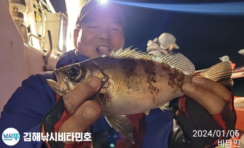 낚시뚜,볼락,열기,진해 안골항,김해낚시 비타민호,낚시뚜6