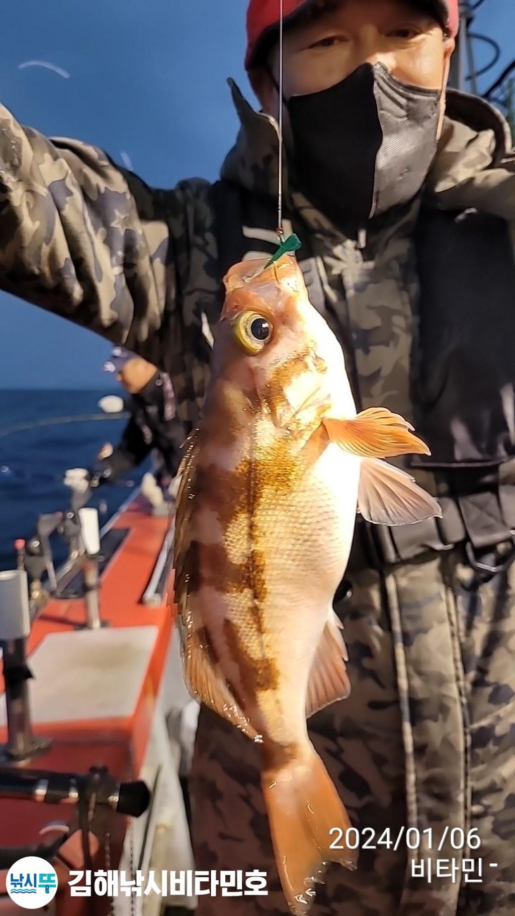 낚시뚜,볼락,열기,진해 안골항,김해낚시 비타민호,낚시뚜3