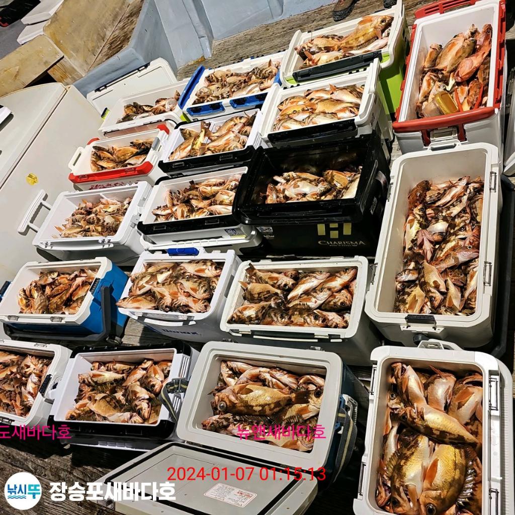 낚시뚜,열기,장승포항,장승포 새바다호,낚시뚜42