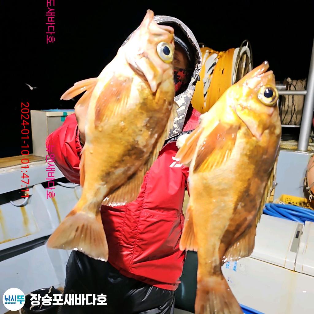 낚시뚜,열기,장승포항,장승포 새바다호,낚시뚜18